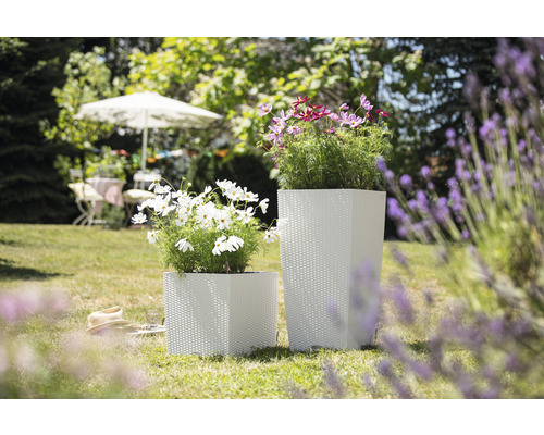 Twee vierkante plantenbakken van kunststof met planten in de tuin