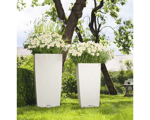 Twee hoge plantenbakken met bloemen in de tuin