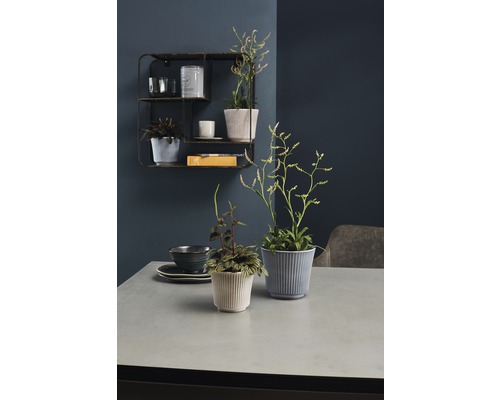 Twee geribbelde bloempotten met planten op een tafel, aan de muur een rek met decoratieve artikelen.