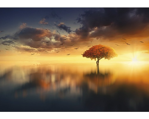 Boom in water bij zonsondergang met een zwerm vogels