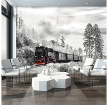 Woonkamer met fotobehang van een stoomlocomotief