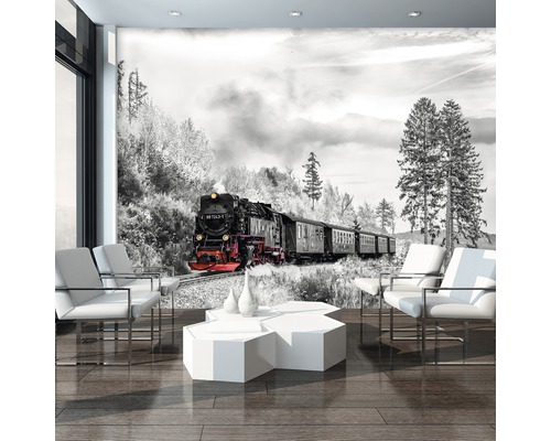 Woonkamer met fotobehang van een stoomlocomotief