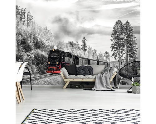 Fotobehang met treinmotief in een woonkamer.