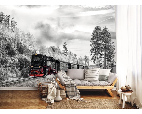 Wanddecoratie met treinmotief in een woonkamer met sofa en houten vloer