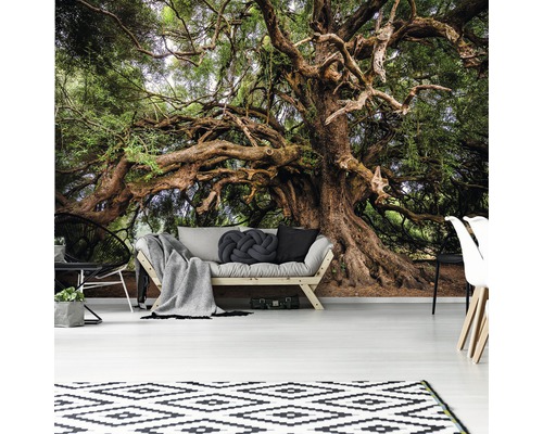 Fotobehang met boommotief in een woonkamer