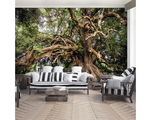 Fotobehang met een oude boom in de woonkamer