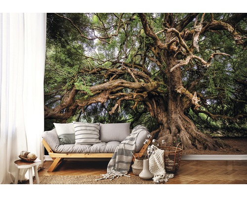 Woonkamer met fotobehang van een grote boom