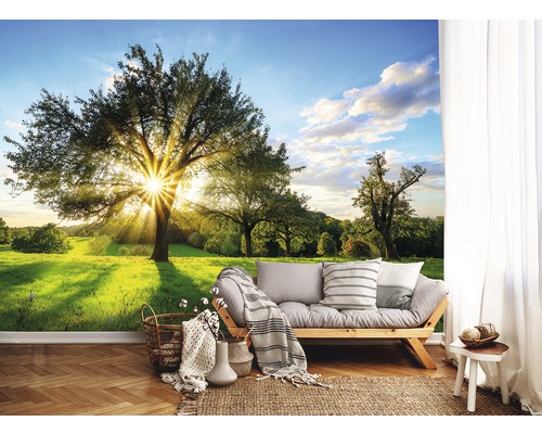 Woonkamer met fotobehang met landschapmotief, inclusief bomen en weide.