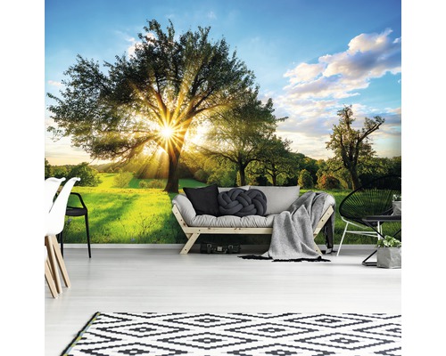 Wanddecoratie met boom en zonneschijn in een lichte, georganiseerde woonkamer.