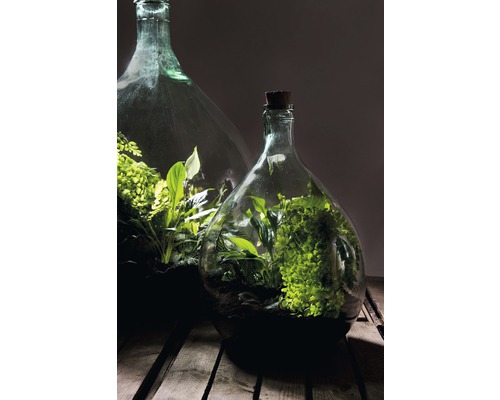 Twee glazen flessen terraria met planten op een houten tafel.