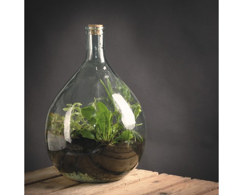 Glazen fles met planten op houten kist