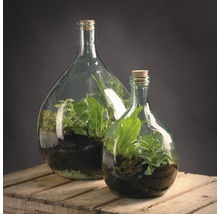 Twee glazen flessenterrariums met planten op houten kist