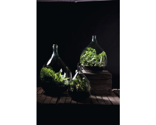 Drie glazen flessen met planten op houten kist