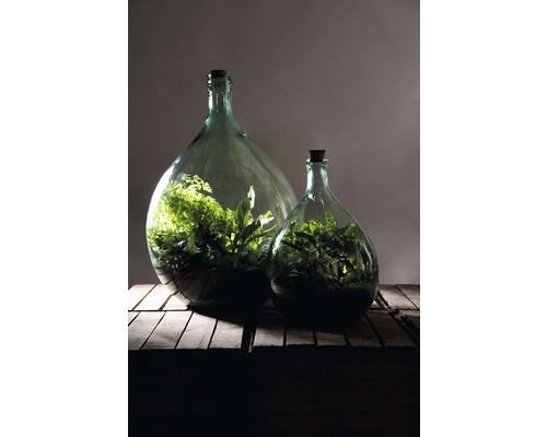 Twee glazen flessen met kurkstop en planten op een houten tafel