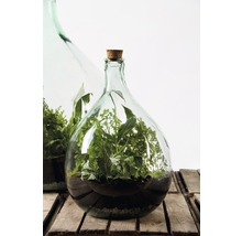 Twee glazen flessenterraria met planten en kurken op een houten tafel