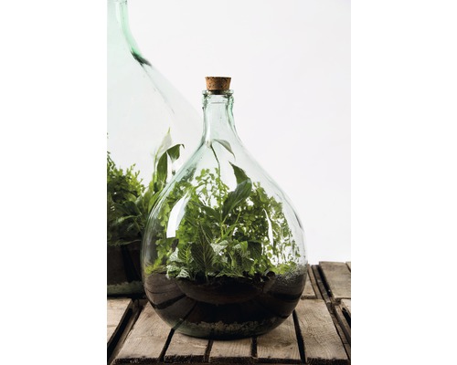 ESSCHERT'S GARDEN Plantenterrarium Doe het zelf set fles 15 liter
