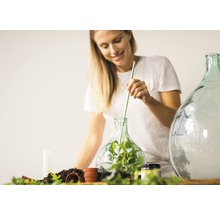 Vrouw beplant glazen ballon met aarde en planten
