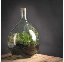Decoratieve glazen fles gevuld met planten op een houten tafel