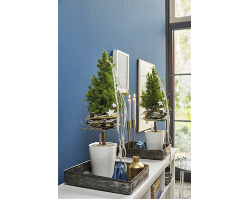 Decoratieve tafel met twee kleine kerstbomen in witte potten, aangevuld met kaarsen en andere decoraties in een gezellige kamer.