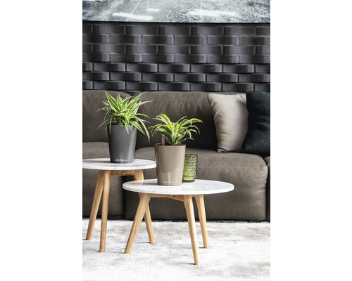 Decoratieve kamerplanten in plantenbakken op bijzettafels voor een bank