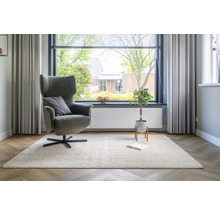 Woonkamer met fauteuil, vloerkleed en kamerplant bij het raam