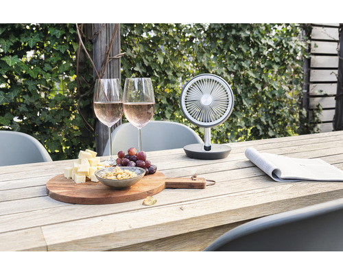 Tafelventilator met wijn, kaas en druiven op houten tafel