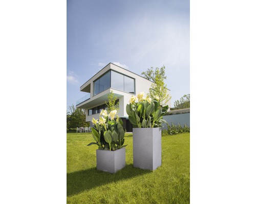 Twee grijze plantenbakken met bloemen in de tuin voor een woonhuis