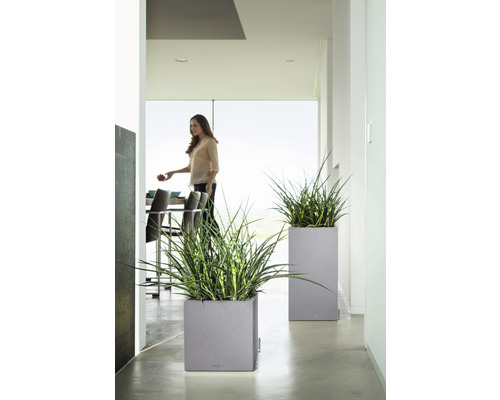 Twee grijze plantenbakken met groene planten in een lichte ruimte