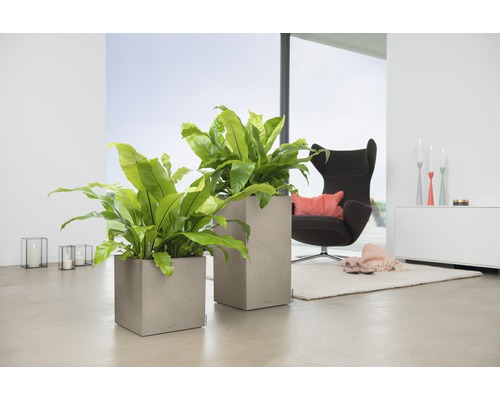 Twee vierkante plantenbakken met planten in een lichte woonkamer.