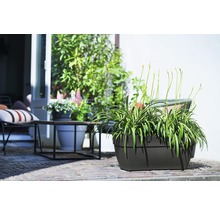 Decoratieve opstelling met planten in een rechthoekige plantenbak voor buiten