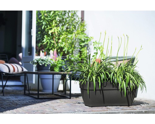 Decoratieve opstelling met planten in een rechthoekige plantenbak voor buiten