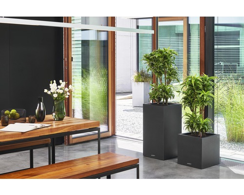 Lichte interieurinrichting met houten tafel, banken en plantenbakken