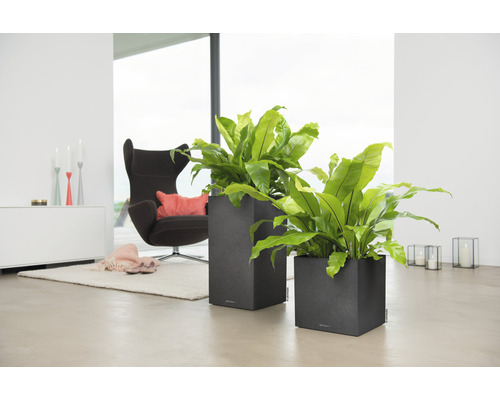 Twee grijze plantenbakken met groene planten in een woonkamer