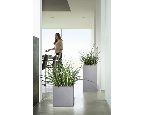 Twee plantenbakken met beplanting in een lichte ruimte