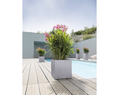 Vierkante plantenbak met planten naast een zwembad