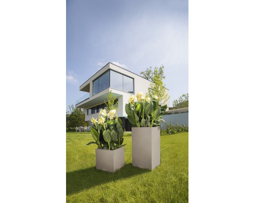 Twee vierkante plantenbakken met bloemen op een gazon voor een modern huis.