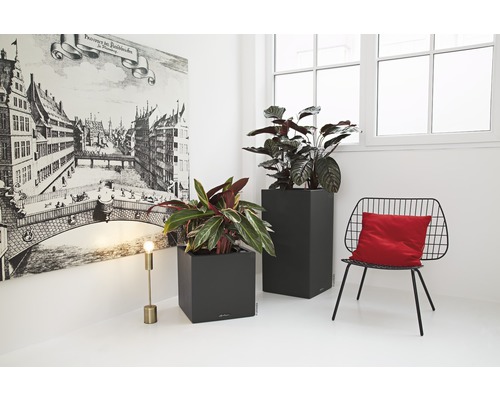 Interieurscène met twee planten in plantenbakken, een stoel met kussen, een staande lamp en een muurschildering