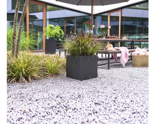 Tuinscene met planten in een vierkante plantenbak op grind