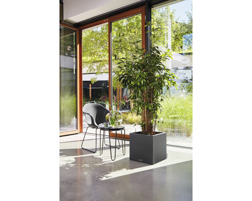 Licht interieur met plant in vierkante plantenbak, stoel en tafel bij raampartij