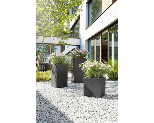 Drie beplante, donkere plantenbakken in de tuin op grind