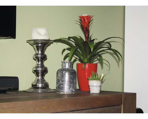 Decoratieve elementen op een houten commode: kandelaar, bromelia in pot en een kleine vaas