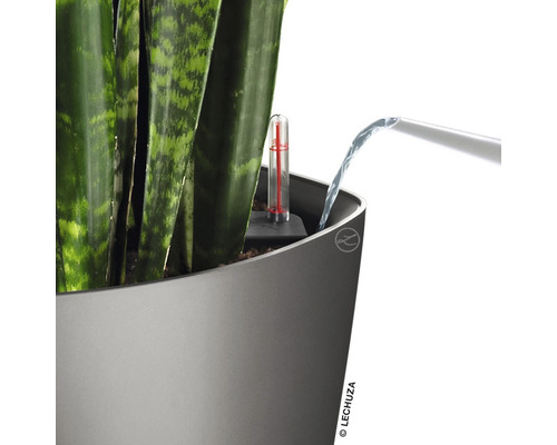 Plant in pot met waterniveau-indicator wordt water gegeven