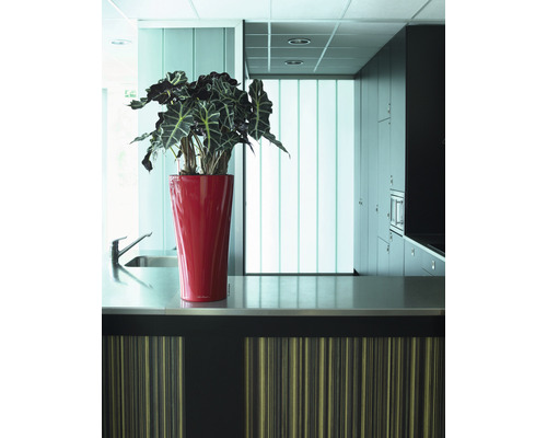 Keukenscène met spoelbak, aanrecht en potplant in rode bloempot