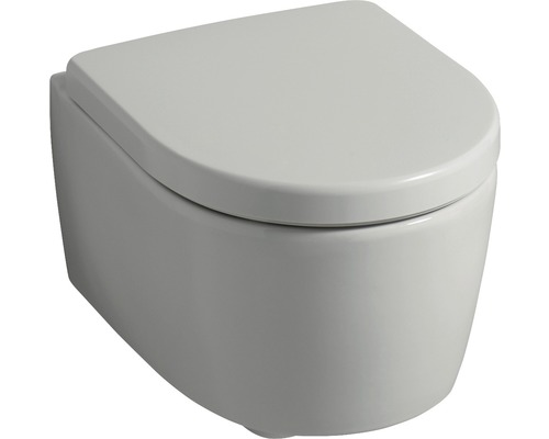 Wandcloset met diepspoeling en deksel