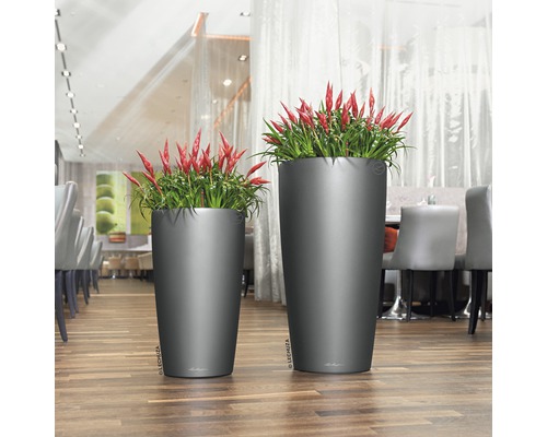 Twee hoge plantenbakken met planten op een houten vloer.