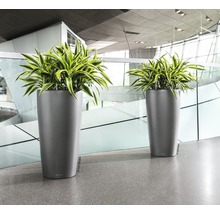 Twee hoge plantenbakken met planten binnenshuis.
