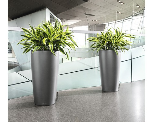 Twee hoge plantenbakken met planten binnenshuis.