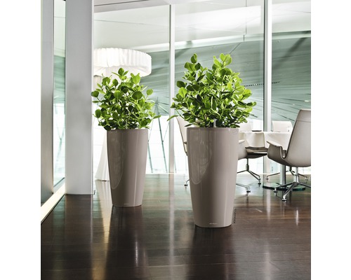 Twee hoge plantenbakken met groene planten in een lichte ruimte