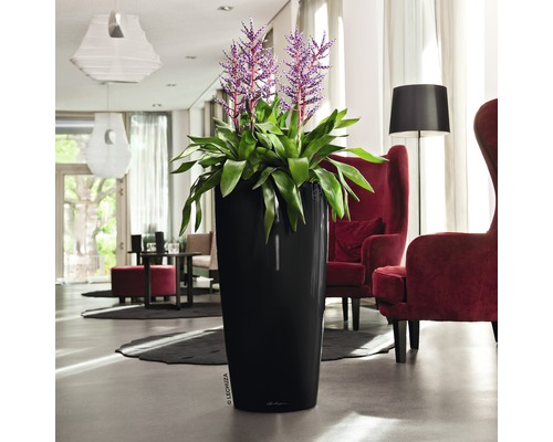 Hoge, slanke plantenbak met groene plant en paarse bloemen in een woonkamer