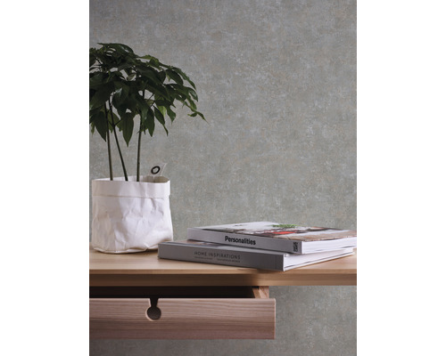 Decoratieve kamer met plant, boeken en behang